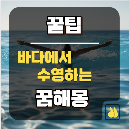 바다에서 수영하는 꿈 해몽부터 뜻밖의 행운 잡는 꿀팁까지