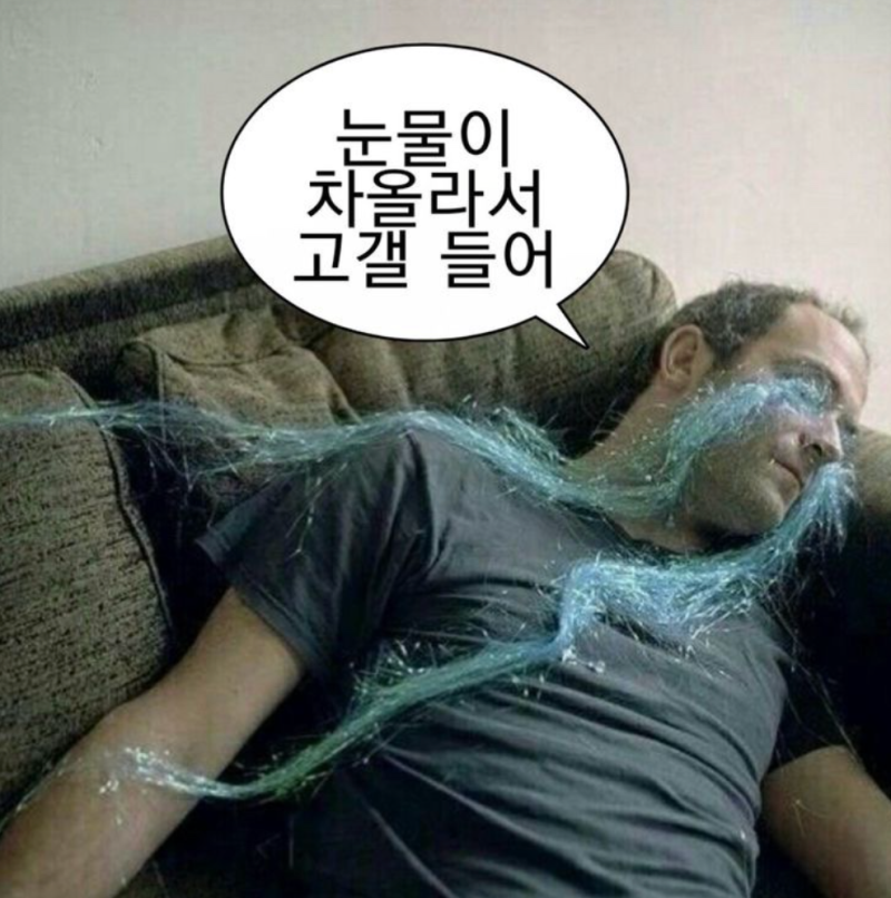 피부염극복 2탄 클렌징밀크,클렌징로션 추천/내돈내산 후기