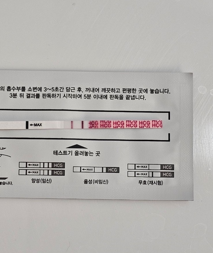 첫임신 초기유산된 이야기 (임테기 더딤/ 역전안됨/ 증상 없어짐/ 자연배출)