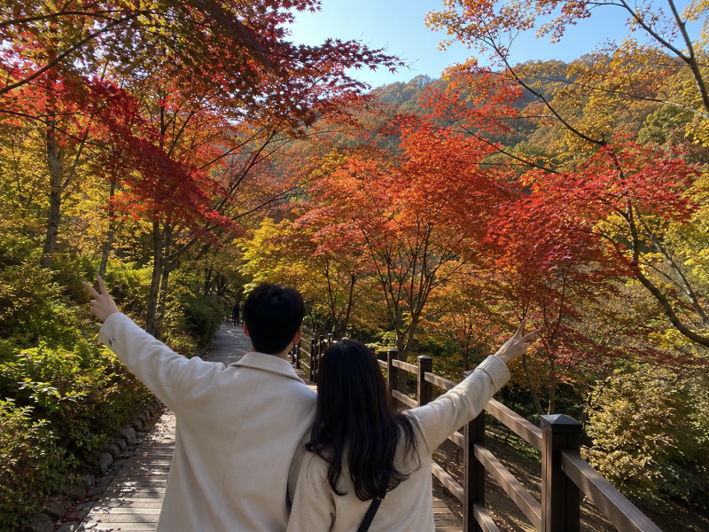 화담숲 모노레일 예약 방법 시간 코스 좌석 이용 후기 총정리
