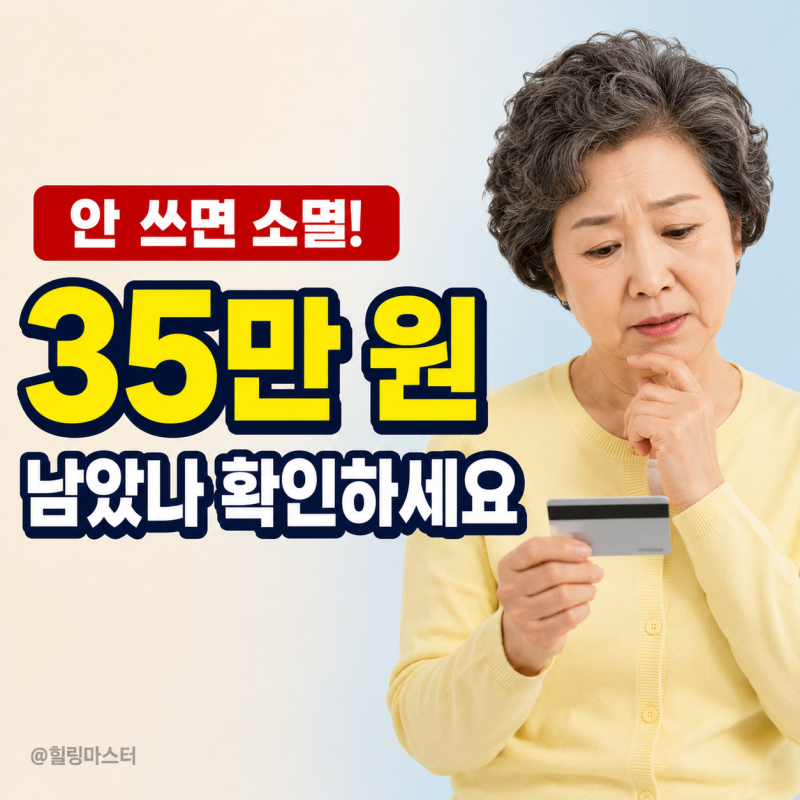 평생교육이용권 사용처와 잔액 조회, 안 쓰면 그냥 사라져요