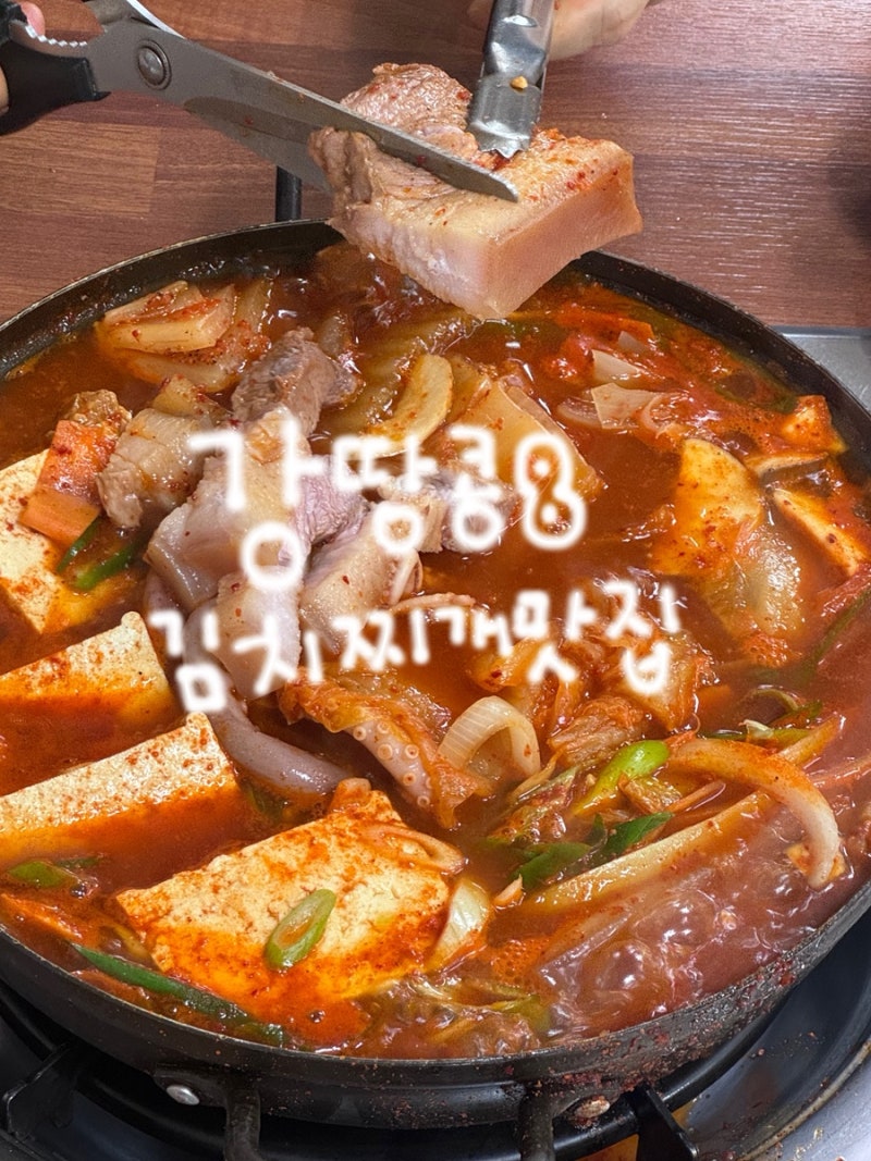 제주도 노형동 현지인 인생 김치찌개 쌈밥 도민 맛집 내돈내산 제육볶음 두루....