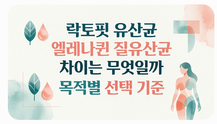 락토핏 유산균 엘레나퀸 질유산균 차이는 무엇일까 목적별 선택 기준