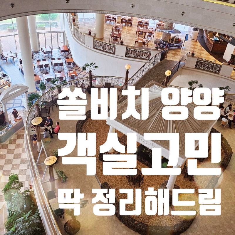 Yangyang Sol Beach Hotel Executive Family Ocean View: Recommended Rooms, Resort vs. Hotel Comparison, Snorkeling