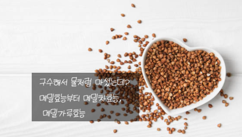 메밀효능부터 메밀차효능, 메밀가루효능