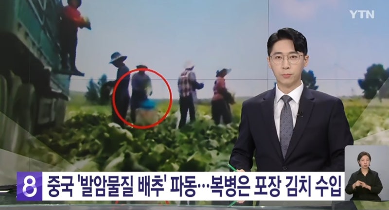 김치명장 박미희 도미솔김치 후기 중국 포름알데히드 배추 논란에 깜짝