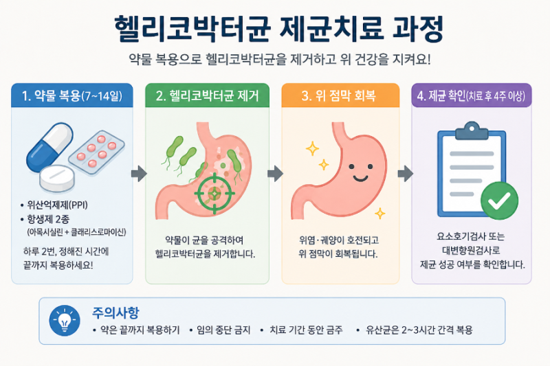 "위염, 위궤양, 위암의 원인 헬리코박터균, 제균치료 꼭 해야 할까?" 제균치료의 치료 방법, ....