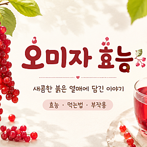 오미자 효능 및 부작용 오미자차 먹는법 함께 확인하고 드세요