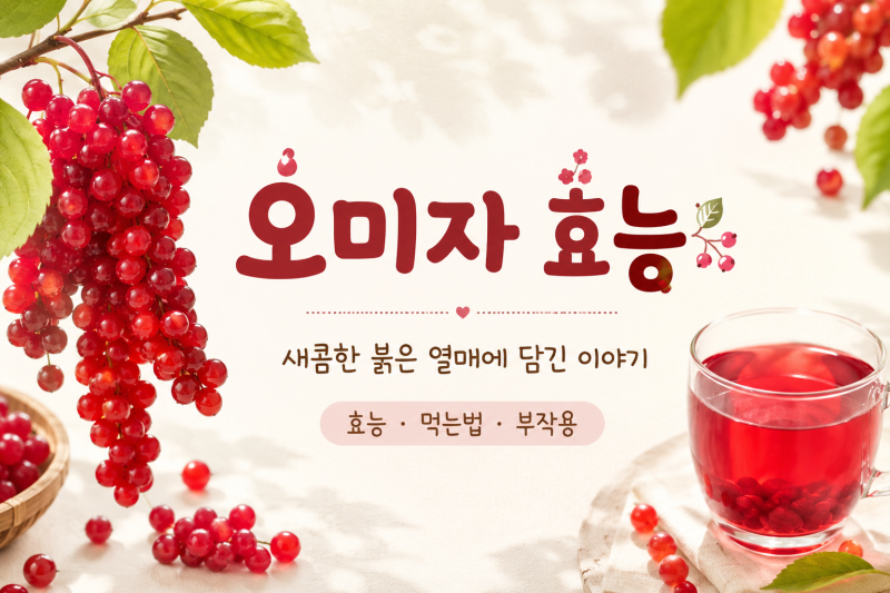 오미자 효능 및 부작용 오미자차 먹는법 함께 확인하고 드세요