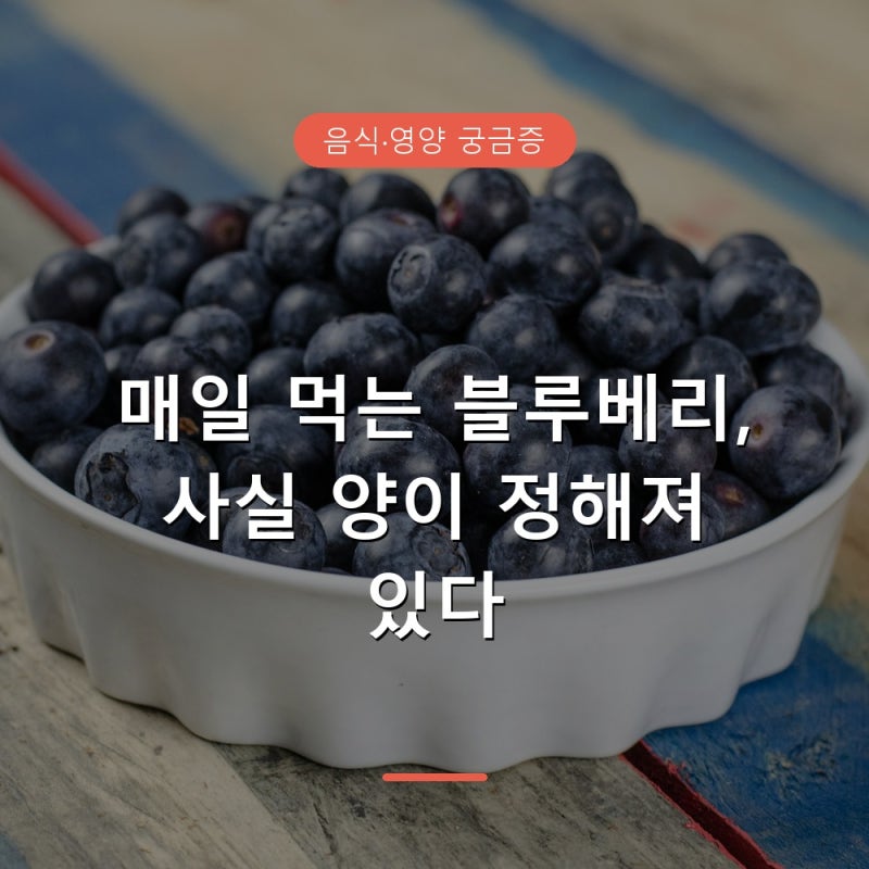 냉동 블루베리 하루 섭취량, 몇 개가 적당할까