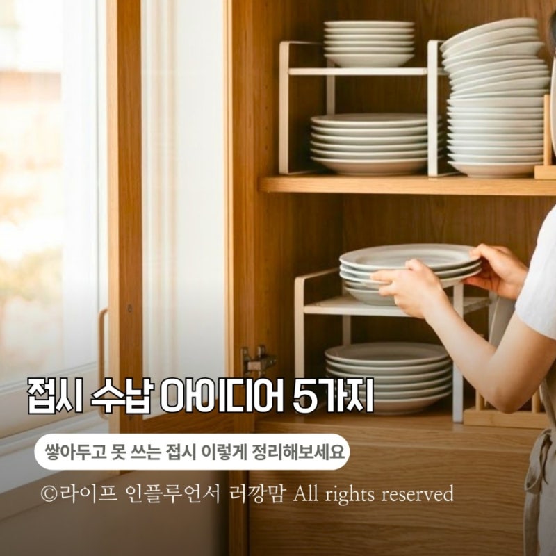 주방 정리 잘하는 집엔 꼭 있더라고요? 접시정리 아이템 5가지