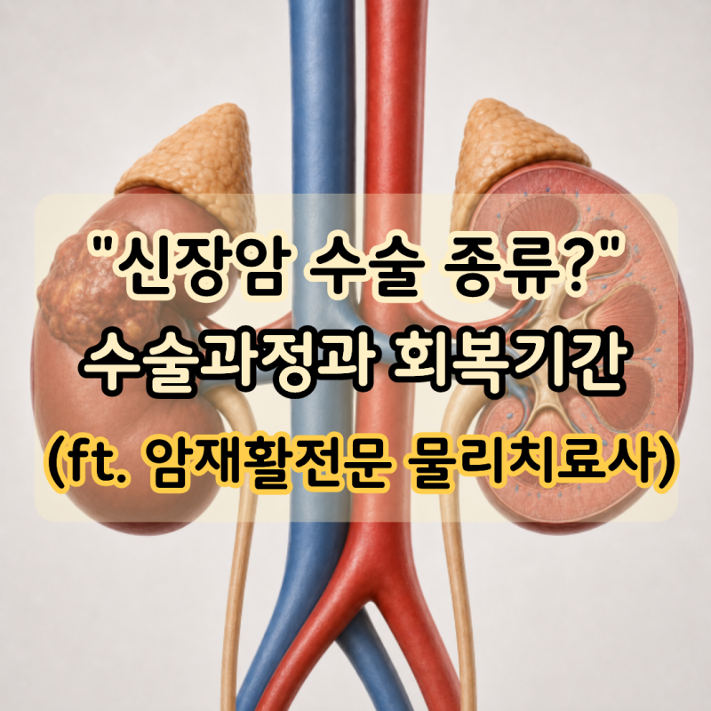 "신장암 수술은 어떻게 진행?" 수술방법과 회복기간 정리 (ft. 암재활전문 물리치료사)