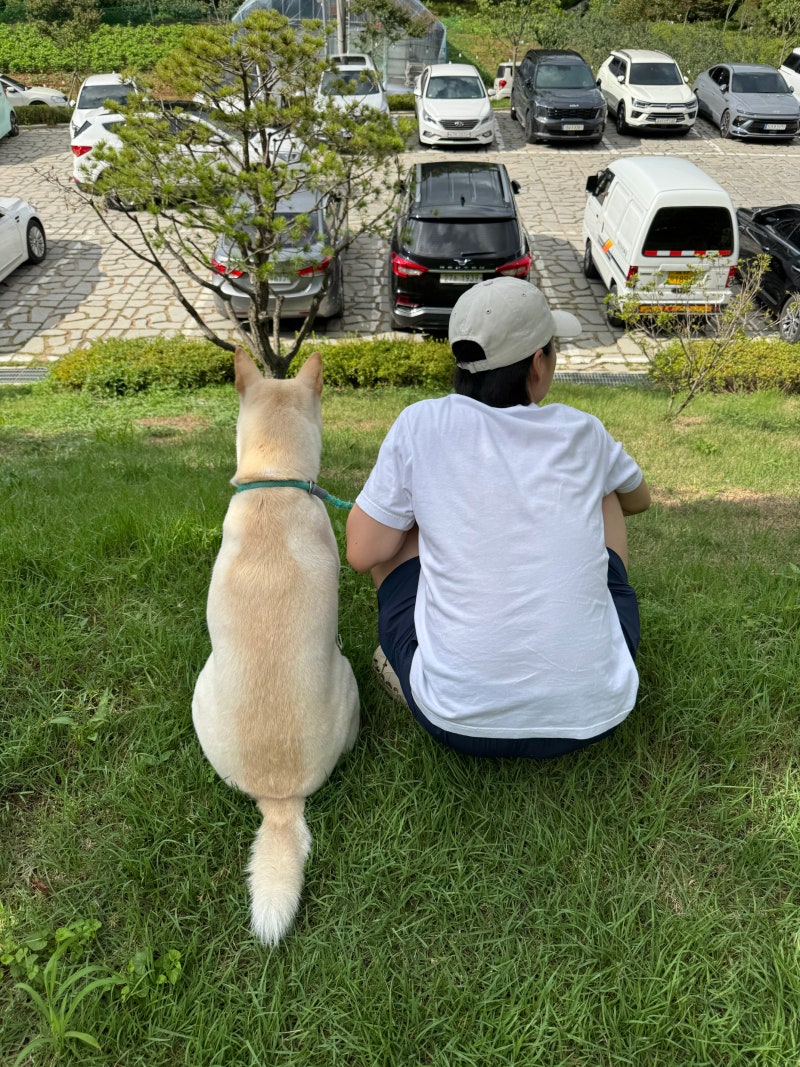 러프웨어 저스트어신치 리쉬로 4년째 산책 후기