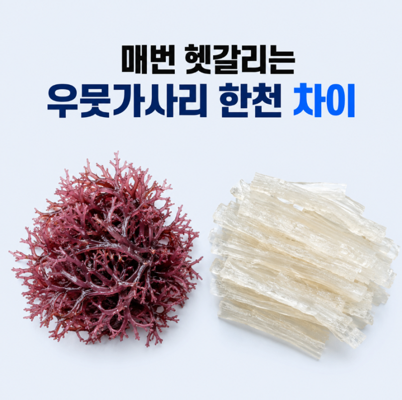 우뭇가사리 한천 차이, 식이섬유 특징과 칼로리부터 손질할 때 불리는 법