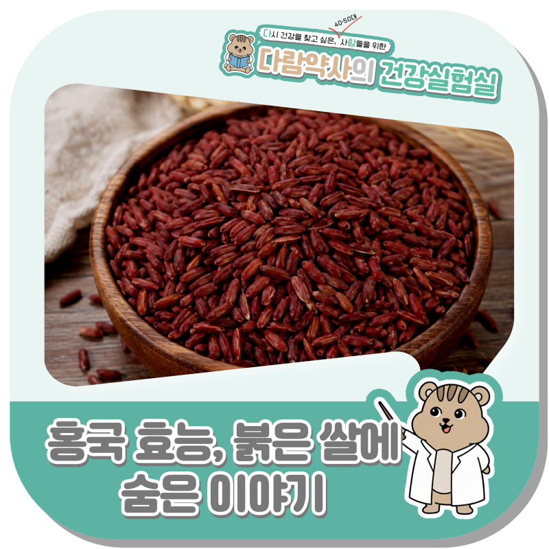 홍국 효능, 붉은 쌀 한 톨에 숨어 있던 이야기