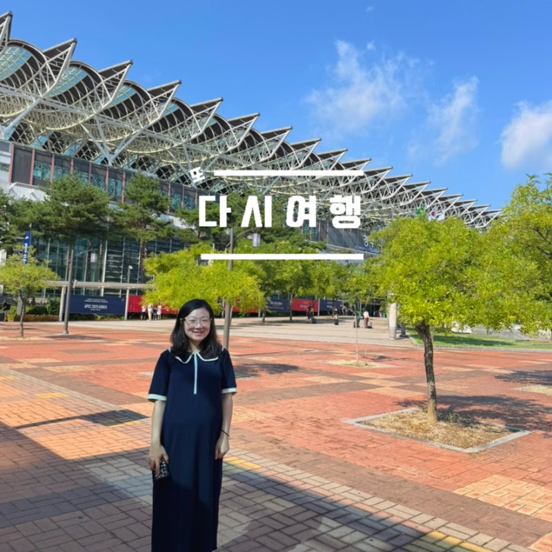 [Suwon to Gyeongju] What if KTX is Sold Out on the Weekend? My Review of Taking a Transfer Train to Gyeongju Station