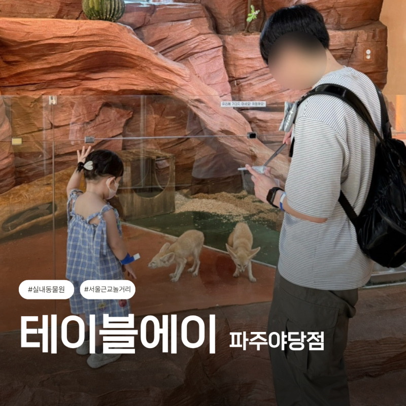 테이블에이 l 서울 근교 파주놀거리 실내동물원 아기랑 갈만한 곳