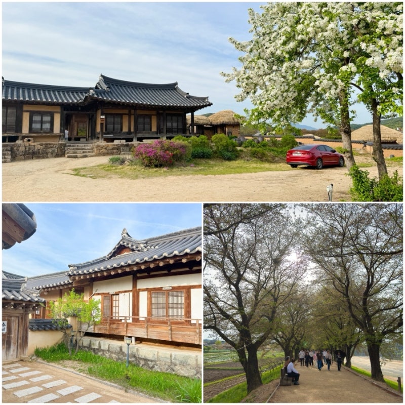경북 안동 가볼만한곳 하회마을 고택 볼거리 입장료