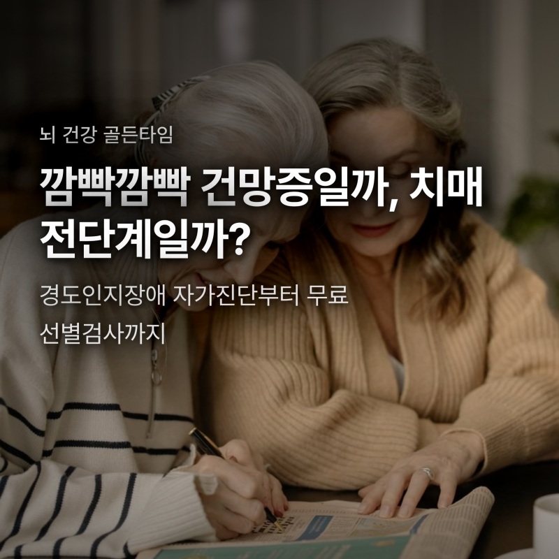 치매 전단계 경도인지장애 증상과 건망증 차이, 무료 선별검사 방법