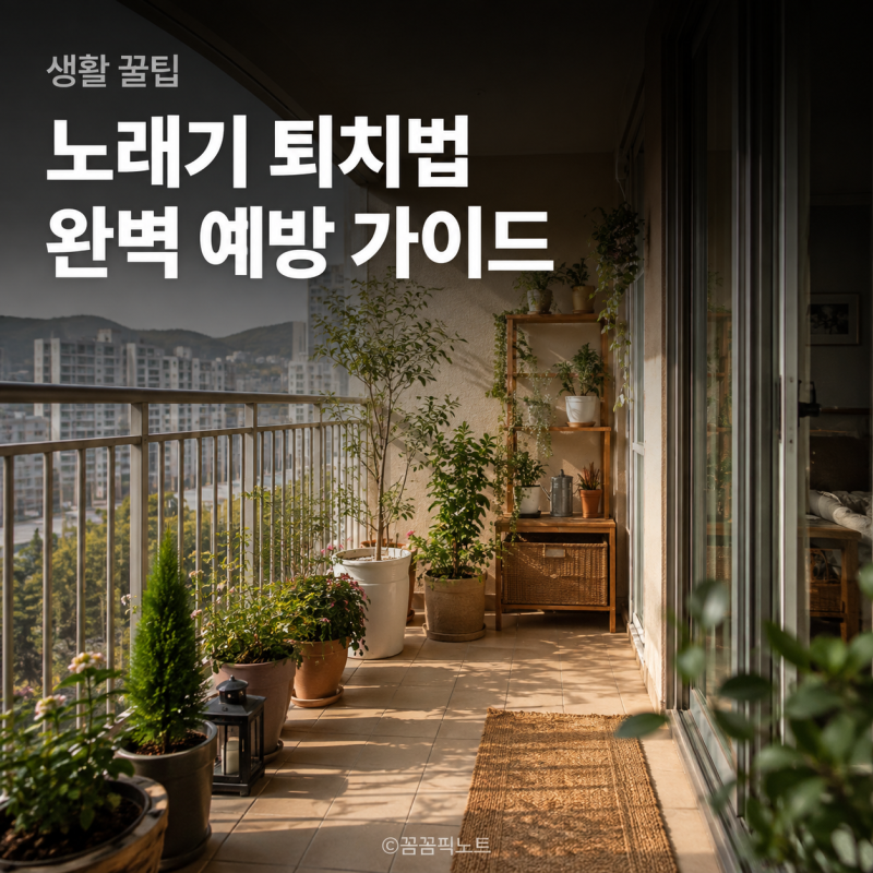 노래기 퇴치법 없애는 법, '벽에 기어 다니는 벌레' 때문에 잠 못 설칠 때