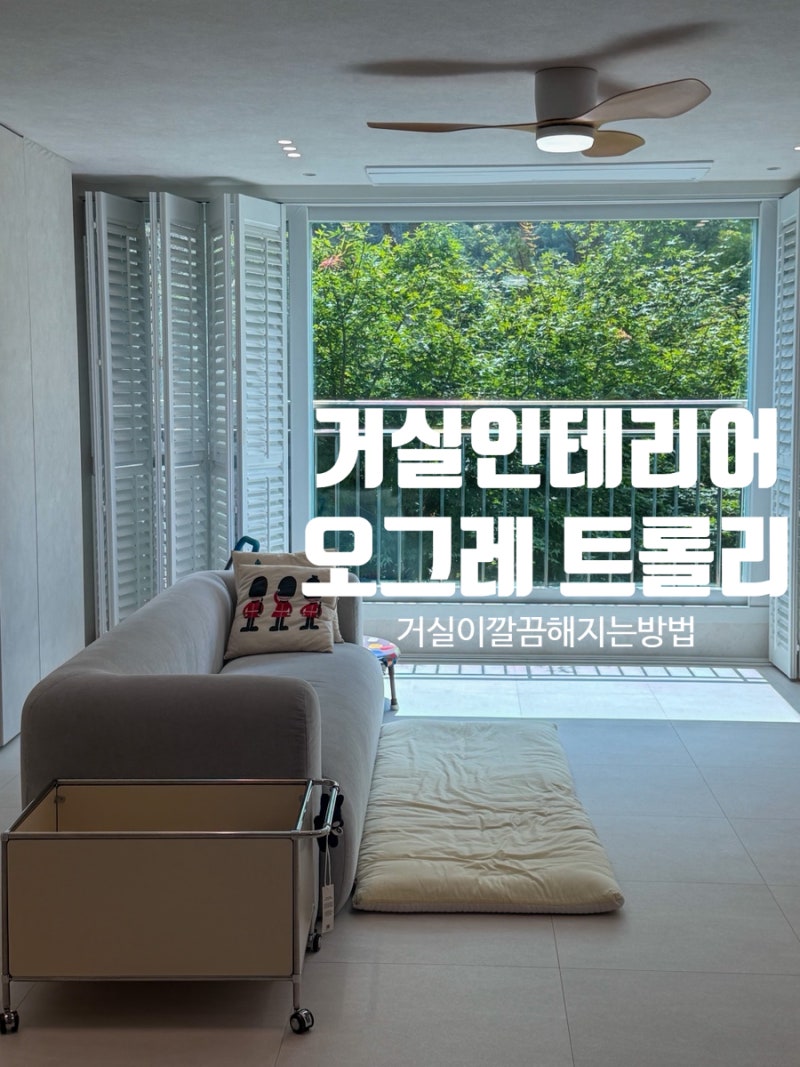 거실 인테리어, 거실 정리 수납 :: 오그레 바스켓 트롤리 찐후기