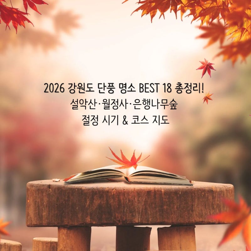 2026 강원도 단풍 명소 BEST 18 총정리! 설악산·월정사·은행나무숲 절정 시기 & 코스 지도