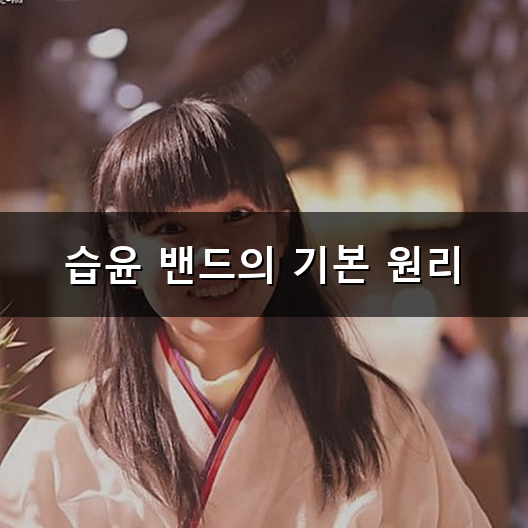 습윤 밴드 상처 관리와 교체 주기 요령
