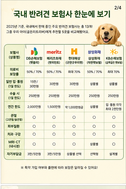 골든리트리버 보험, 대형견 펫보험 보험사별 비교