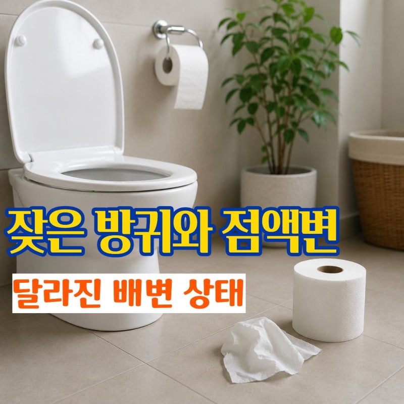 대장암초기증상 방귀가 잦고 설사 점액변이 계속되는 대장암증상