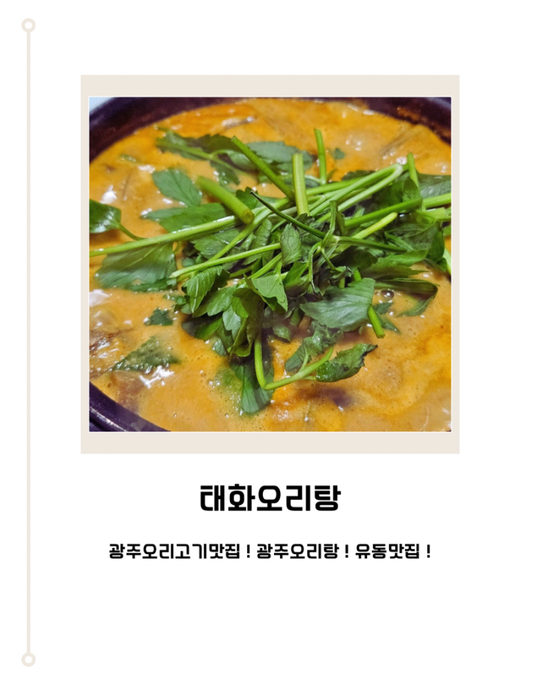 광주 오리탕 맛집 태화오리탕 광주역 근처 몸보신 추천
