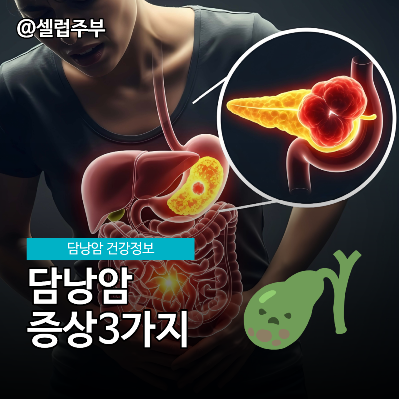 담낭 이란? 담낭암 증상 어떻게다를까?