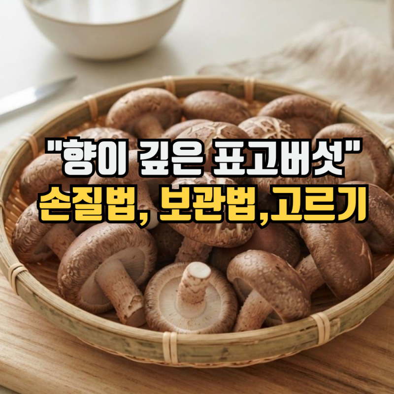 표고버섯 손질법과 보관법 "먹는법, 고르는법까지"