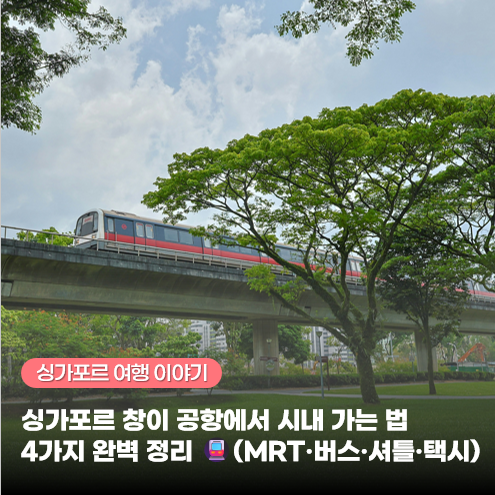 싱가포르 창이 공항에서 시내 가는 법 4가지 완벽 정리 (MRT·버스·셔틀·택시)