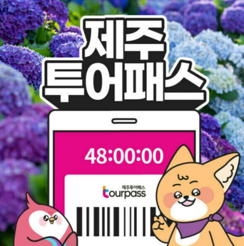 2박 3일 제주도 여행 l 사전 준비_ 항공표 렌트카 숙소 제주투어패스 비용
