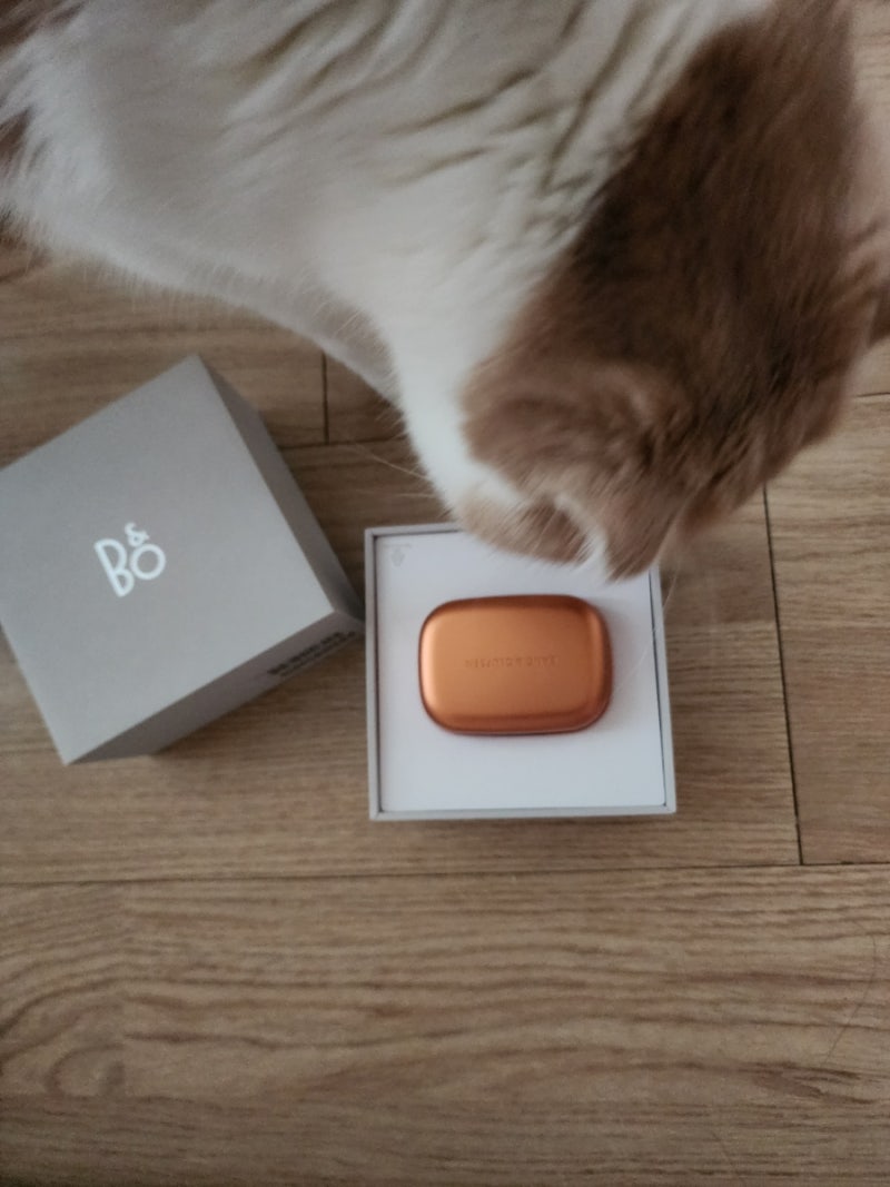뱅앤올룹슨 블루투스 이어폰 beoplay 11, E8 2.0 비교 후기