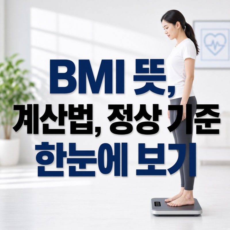 BMI 뜻, 계산법, 정상 기준 한눈에 보기