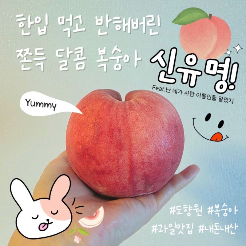 도향원 '신유명 복숭아' 한입 먹고 반해버린 쫀득달콤 복숭아 내돈내산 후기