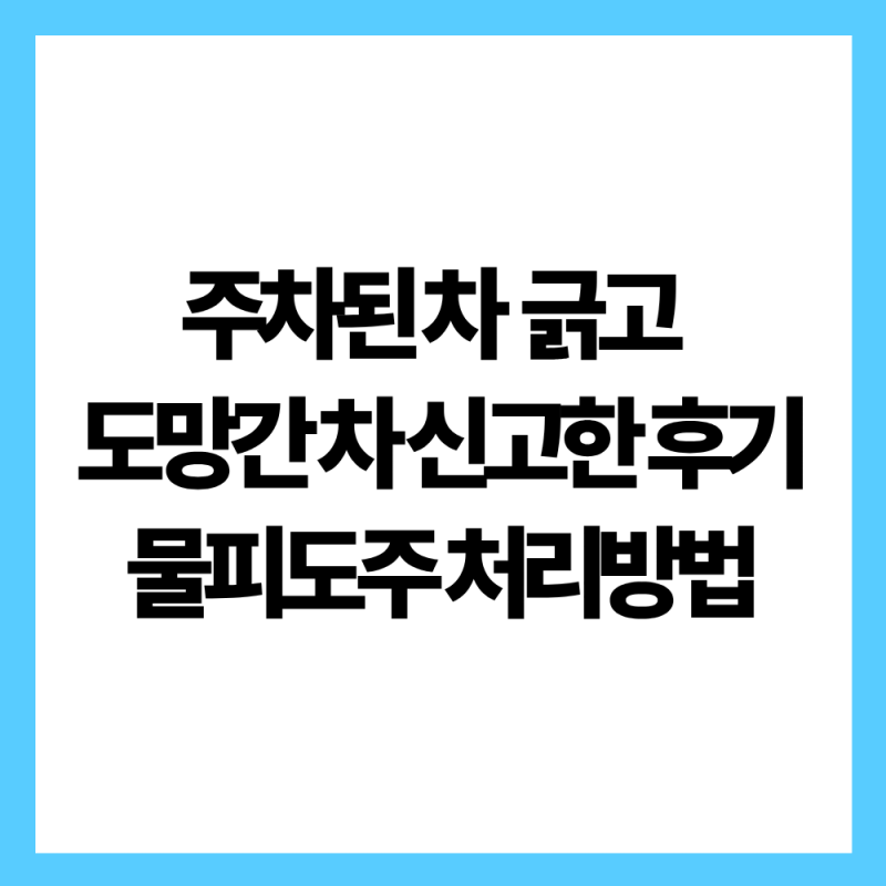 [1탄] 주차된 차 긁고 도망간 물피도주 괘씸죄 신고! 블랙박스 확보 및 경찰서 대응 꿀팁