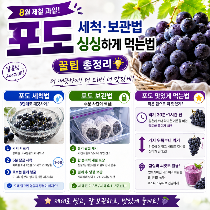 8월 제철 과일 포도 세척 보관법 싱싱하게 먹는법 꿀팁