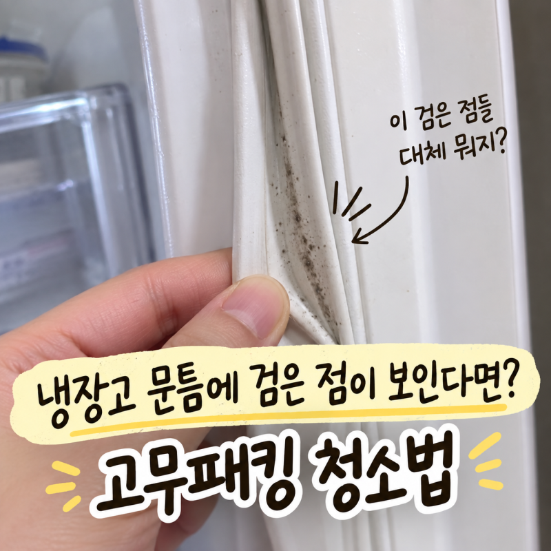 냉장고 문틈에 검은 점이 보인다면? 고무패킹 청소법