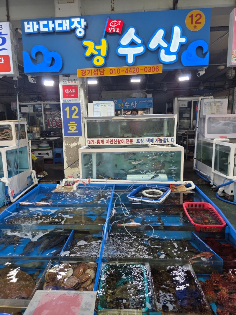 속초 장사항활어회센터 1층에서 회 골라서 2층에서 먹은 후기