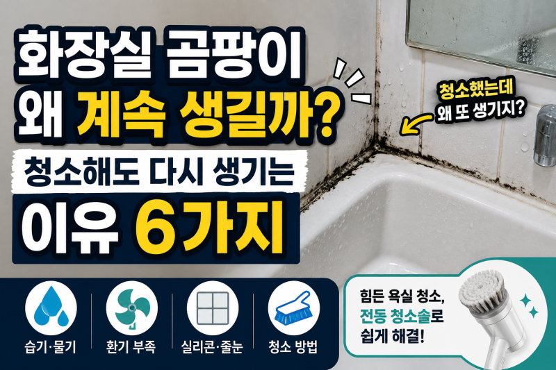 화장실 곰팡이 왜 계속 생길까? 청소해도 다시 생기는 이유 6가지