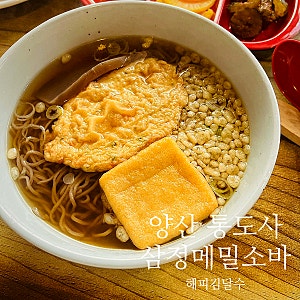 통도사 맛집 삼정메밀소바, 꿩만두까지 맛있는 통도사 메밀소바 Samjeong Memil Soba