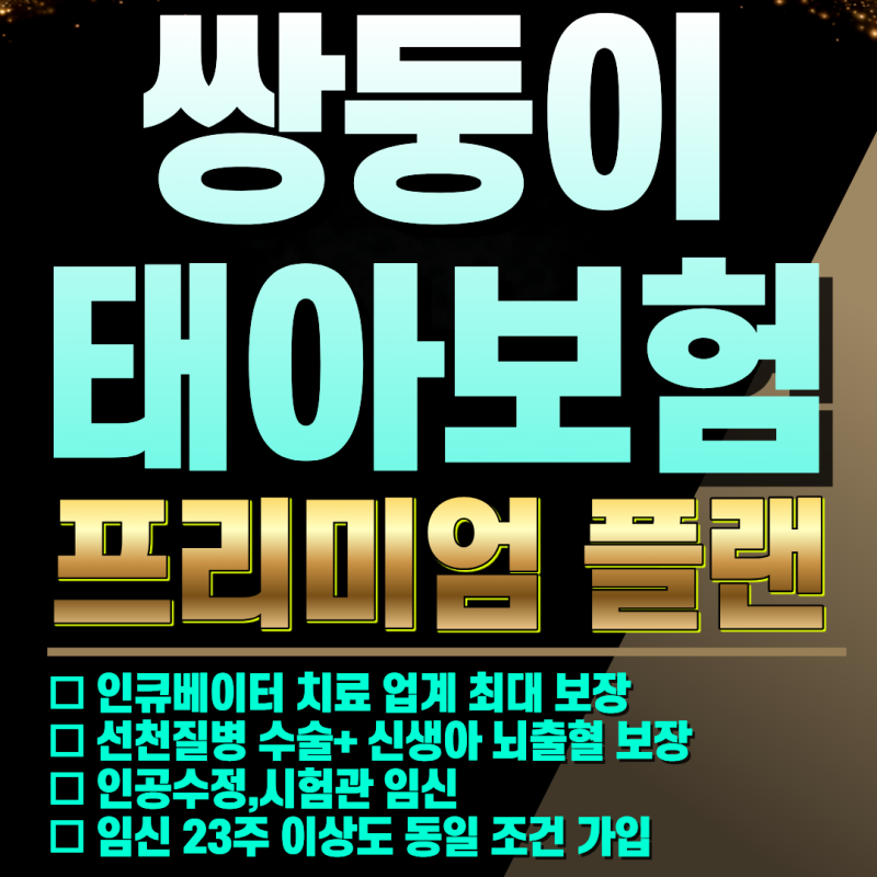 쌍둥이 태아보험 20년납 30세만기 프리미엄 플랜 공개합니다. 필수 특약으로만 구성! 더이상 ....