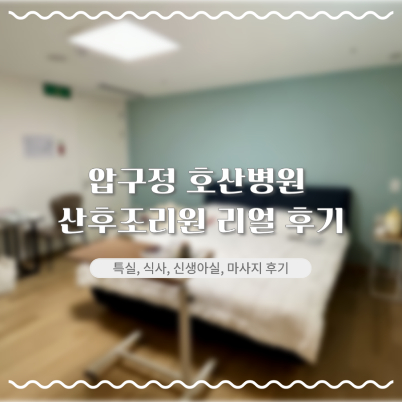 압구정 호산병원 산후조리원 2주 (특실 비교, 비용, 마사지, 식사, 준비물, 모자동실 등)