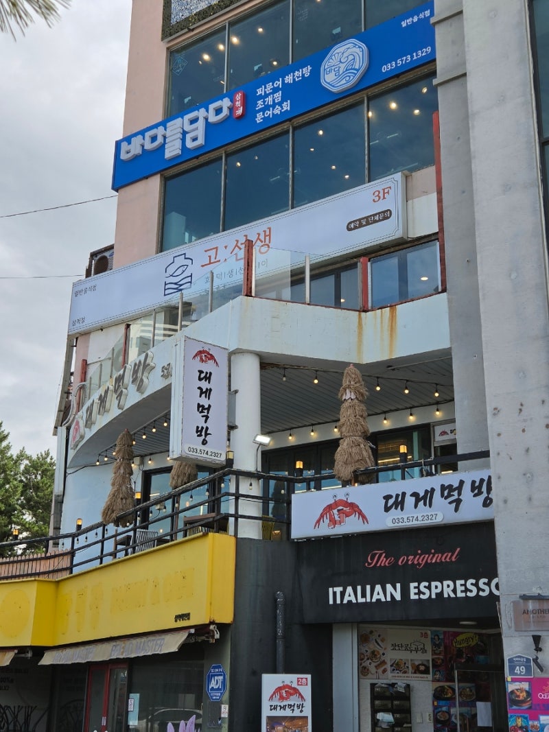 [동해] 삼척 추암해변 대게 맛집 : 대게먹방