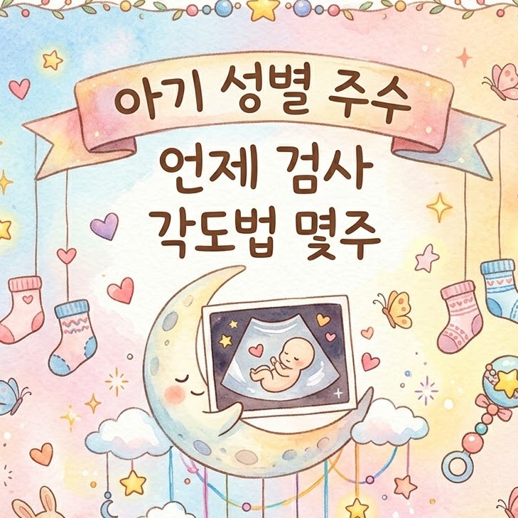 아기 성별 몇 주부터 알 수 있을까? 주수별 확인 시기와 각도법, 언제 검사받는 게 좋은지 총....