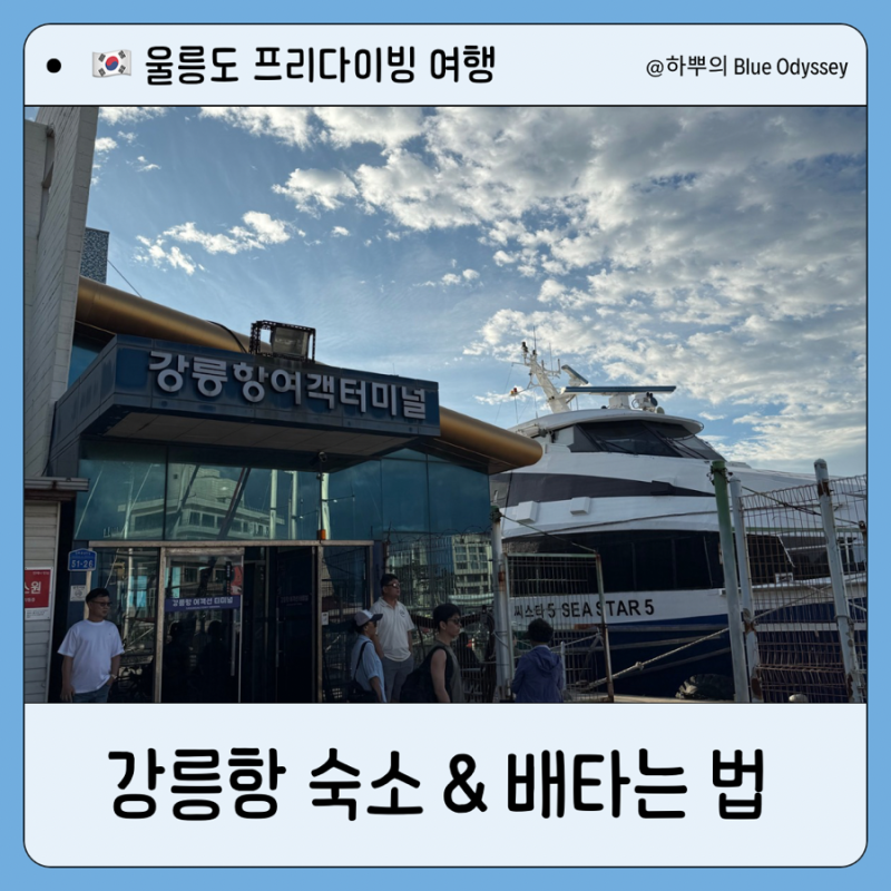 [여자 혼자 울릉도 여행] 강릉항 근처 가성비 숙소 추천 & 울릉도 배편 탑승 방법