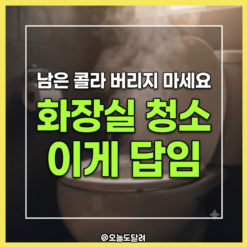 락스 냄새 없이 욕실 변기 물때 지우기: 먹다 남은 탄산음료 활용 방법