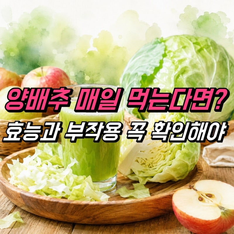 양배추 효능 부작용, 양배추즙 먹는방법 갈아마시기
